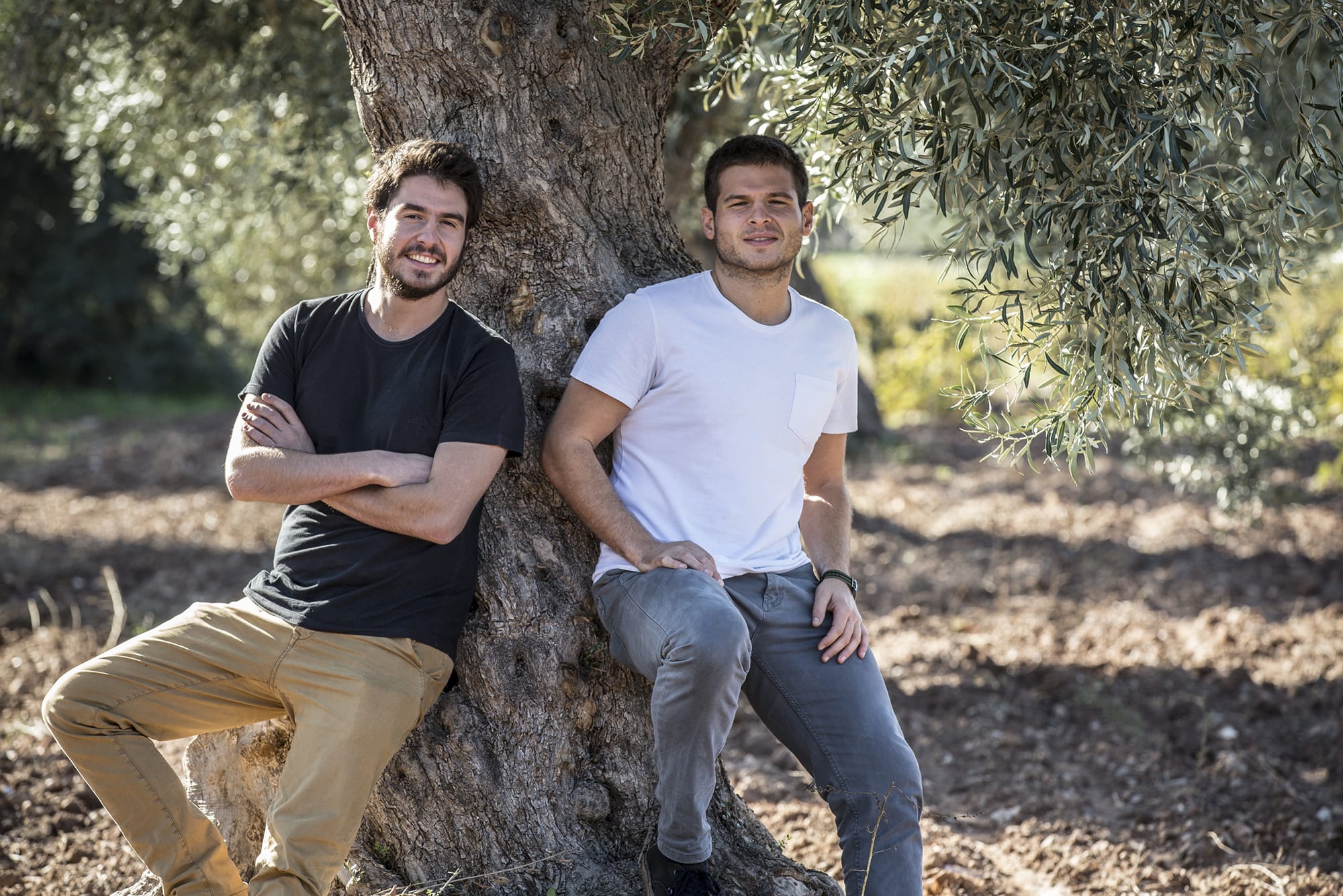 Panos and Thanos Kloutsiniotis in the olive groves that are dear to them. Ladolea