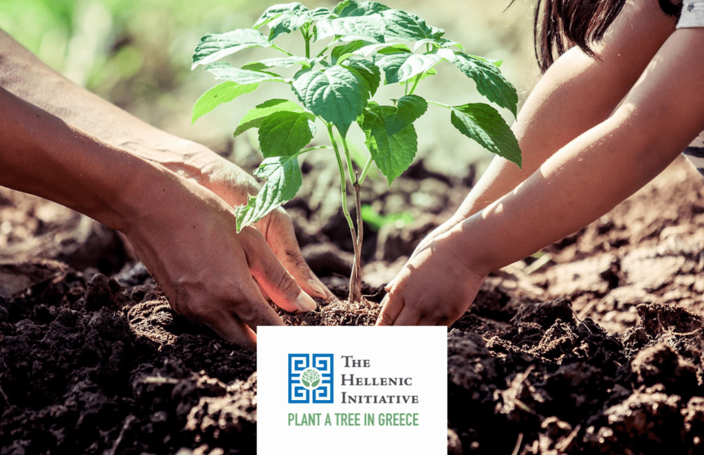 The Hellenic Initiative Launches “PLANT A TREE IN GREECE” to Support the Greek Homeland, with over 4,000 Trees Planted by End of May