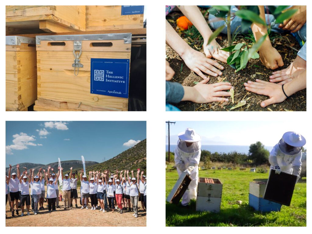 THI's 2021 Wildfire Relief Efforts: One Year Update